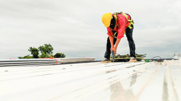 Best Skylight Installation and Repair  in Nisswa, MN