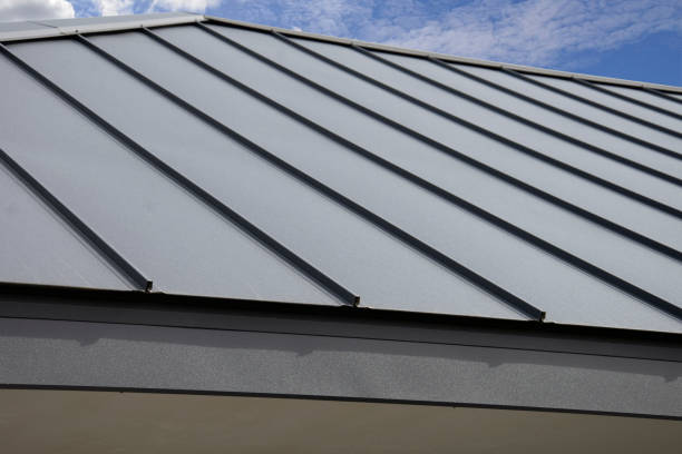 Best Green or Eco-Friendly Roofing Solutions  in Nisswa, MN